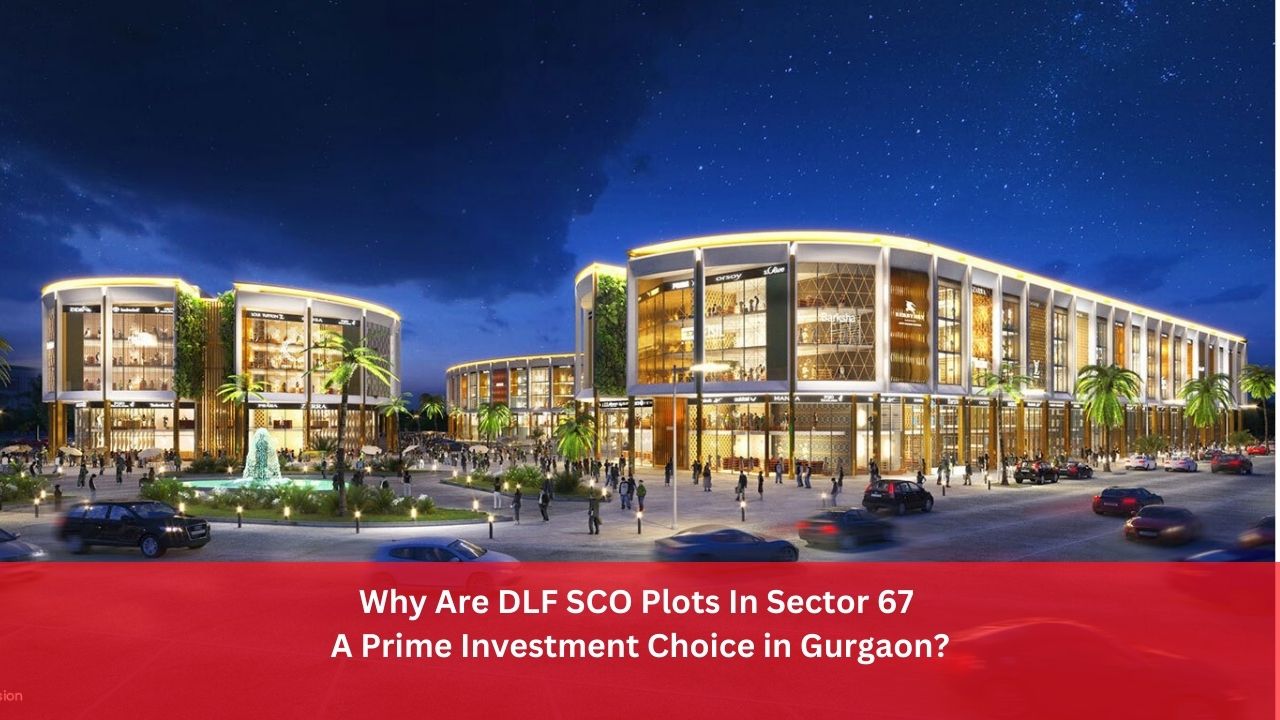Why Are DLF SCO Plots In Sector 67 A Prime Investment Choice in Gurgaon?