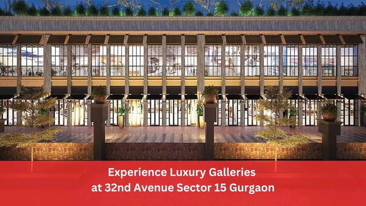 Experience Luxury Galleries at 32nd Avenue Sector 15 Gurgaon