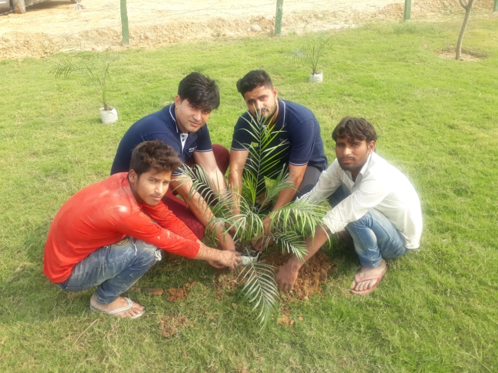 Geetanjali Employees doing Reforestation 